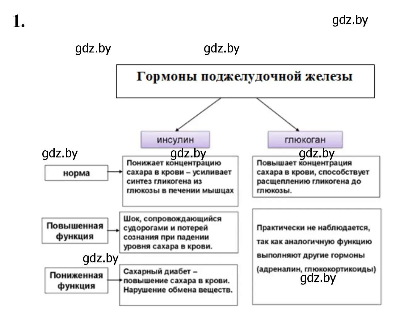 Решение номер 1 (страница 36) гдз по биологии 9 класс Лисов, рабочая тетрадь