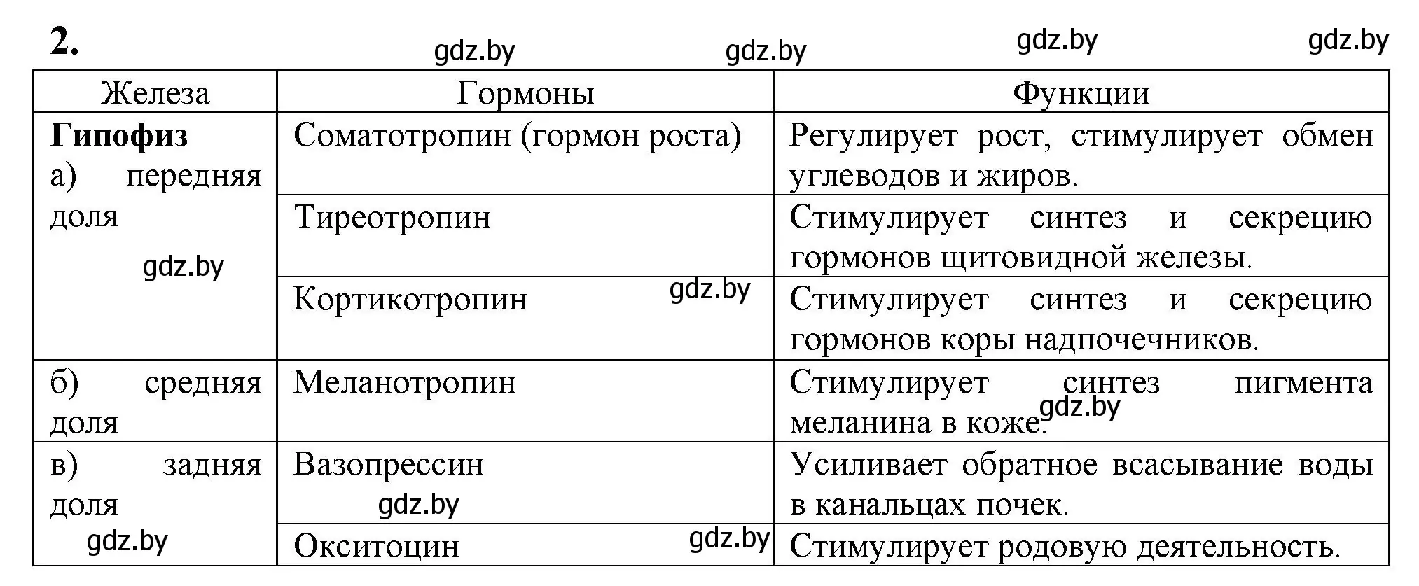 Решение номер 2 (страница 37) гдз по биологии 9 класс Лисов, рабочая тетрадь