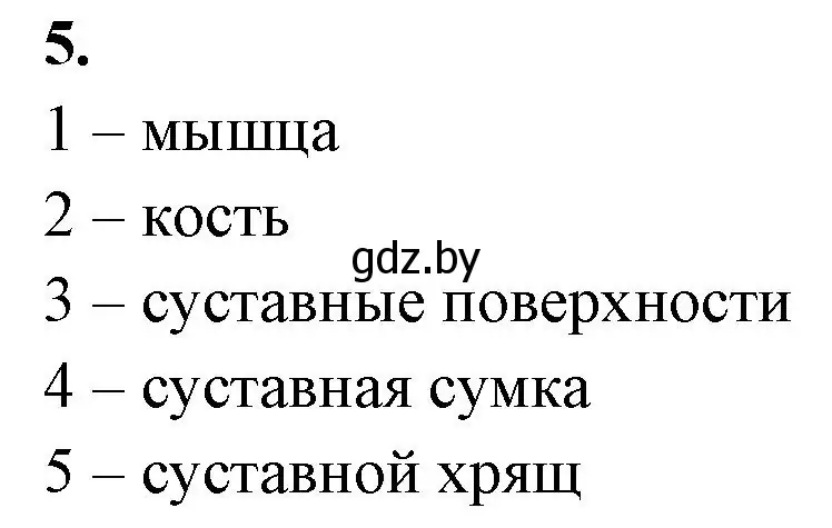 Решение номер 5 (страница 38) гдз по биологии 9 класс Лисов, рабочая тетрадь