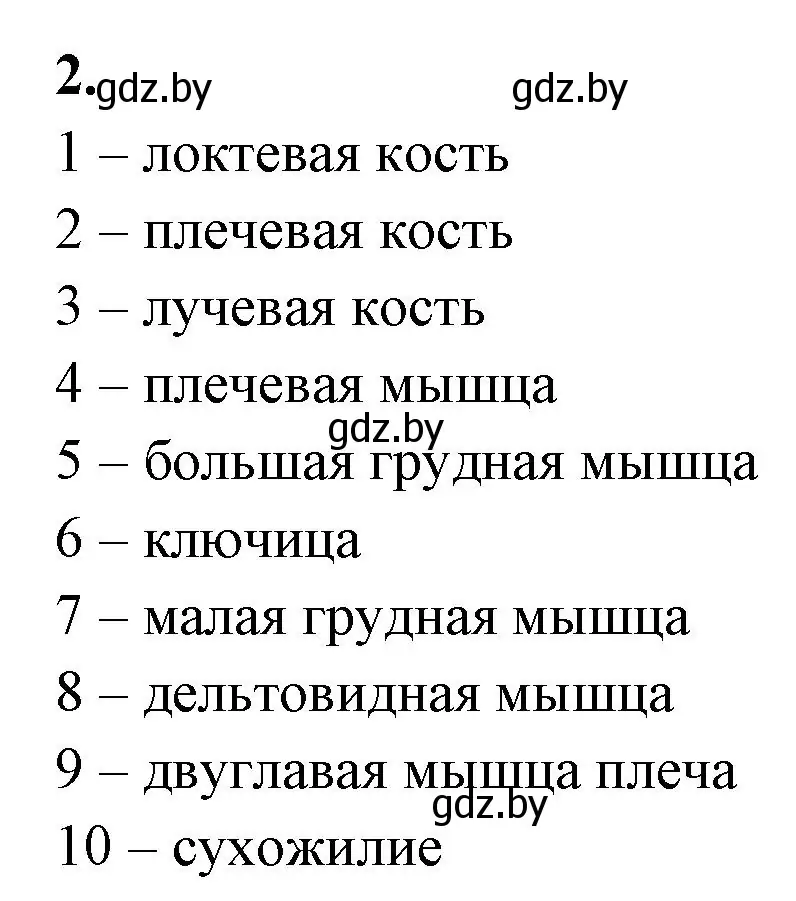 Решение номер 2 (страница 46) гдз по биологии 9 класс Лисов, рабочая тетрадь