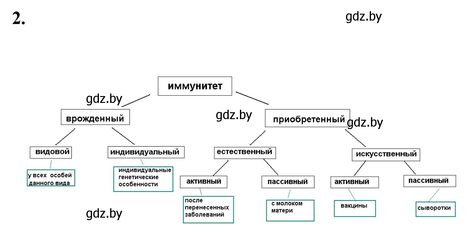 Решение номер 2 (страница 69) гдз по биологии 9 класс Лисов, рабочая тетрадь