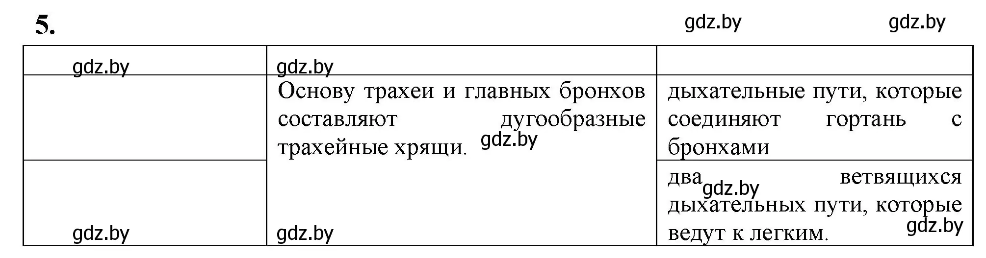 Решение номер 5 (страница 87) гдз по биологии 9 класс Лисов, рабочая тетрадь