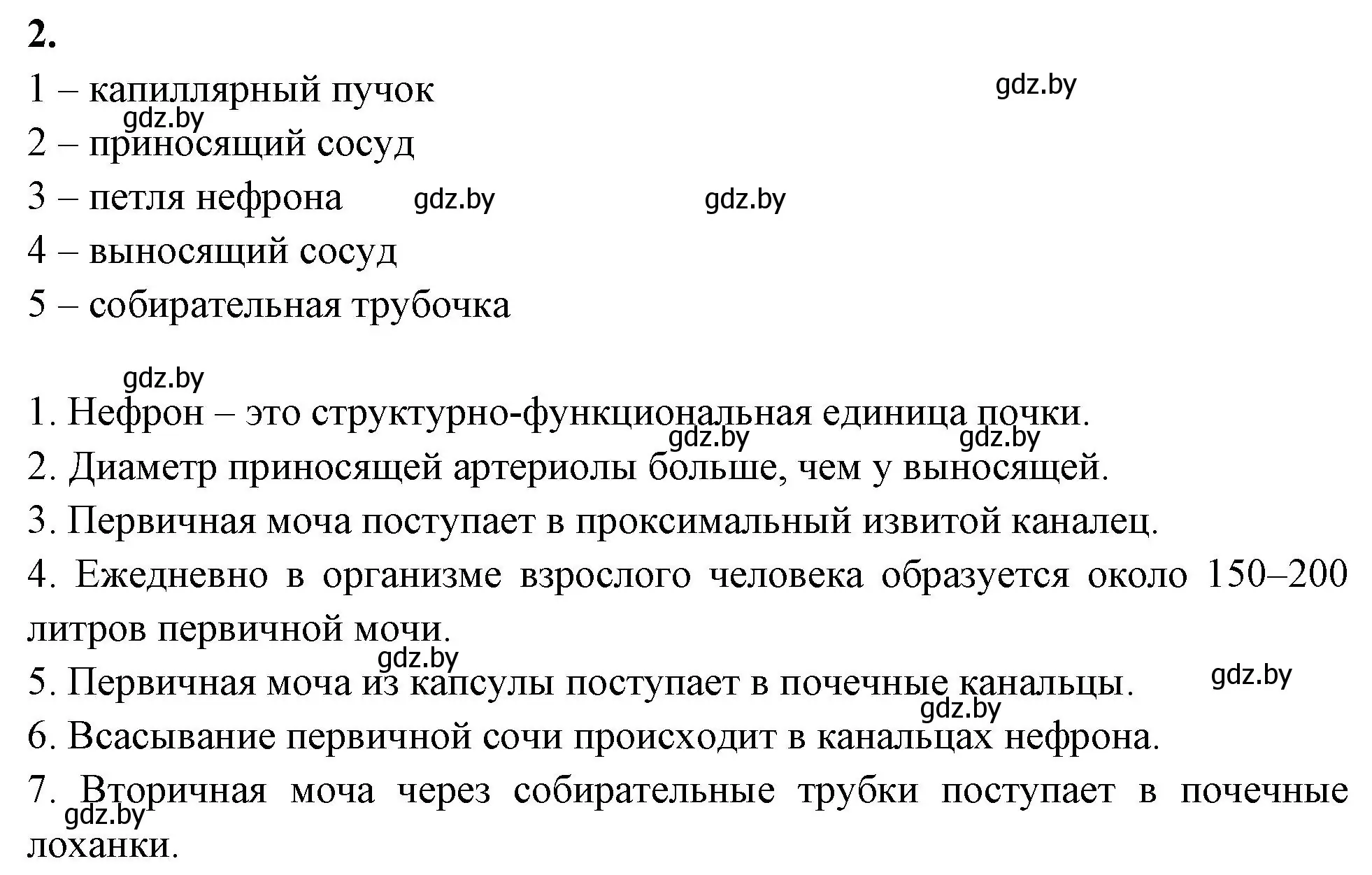 Решение номер 2 (страница 113) гдз по биологии 9 класс Лисов, рабочая тетрадь