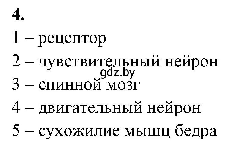 Решение номер 4 (страница 9) гдз по биологии 9 класс Рогожников, тетрадь для демонстрационных опытов, лабораторных и практических работ