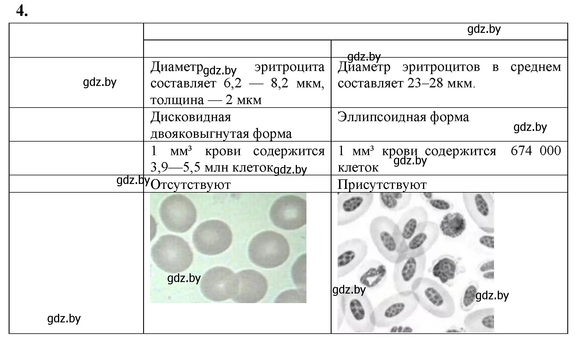 Решение номер 4 (страница 16) гдз по биологии 9 класс Рогожников, тетрадь для демонстрационных опытов, лабораторных и практических работ