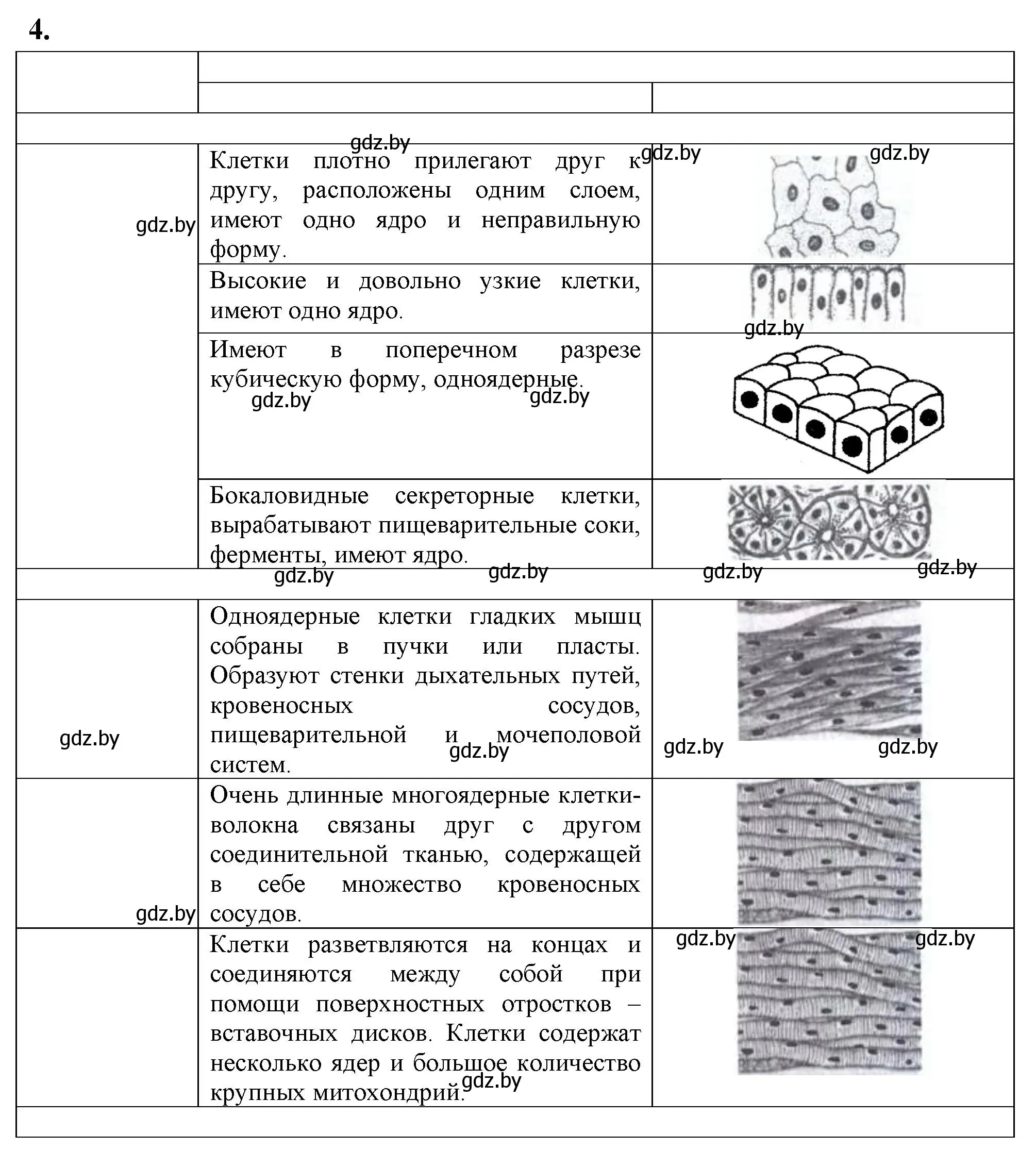 Решение номер 4 (страница 5) гдз по биологии 9 класс Рогожников, тетрадь для демонстрационных опытов, лабораторных и практических работ