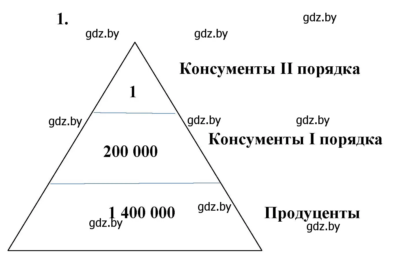 Решение номер 1 (страница 29) гдз по биологии 10 класс Хруцкая, тетрадь для лабораторных и практических работ