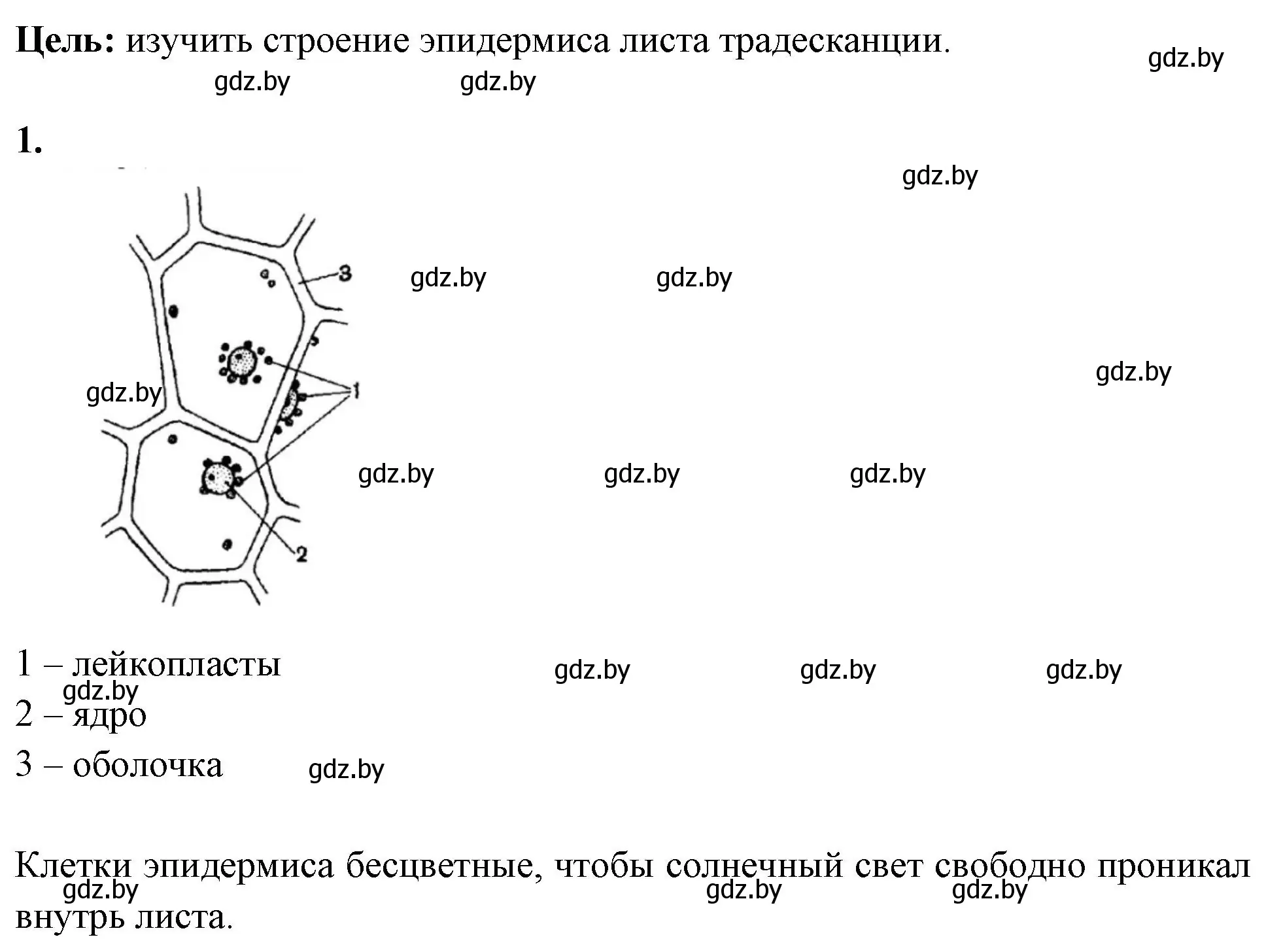 Решение номер 1 (страница 5) гдз по биологии 10 класс Хруцкая, тетрадь для лабораторных и практических работ