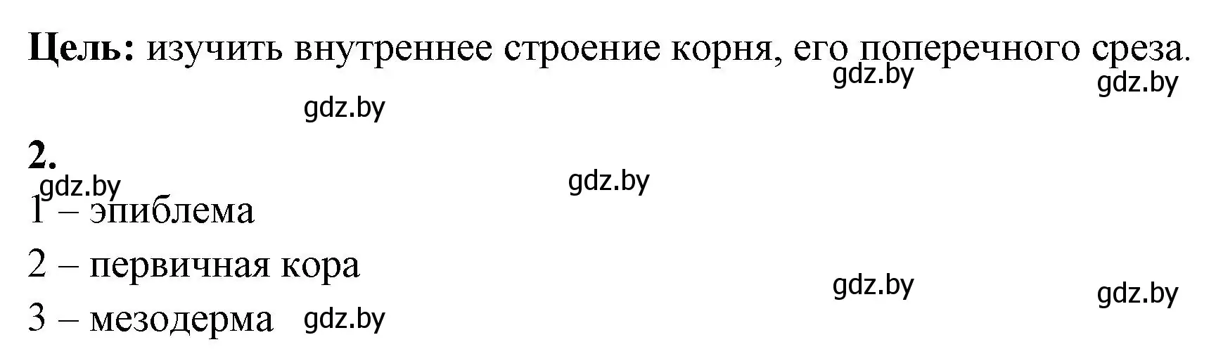 Решение номер 2 (страница 9) гдз по биологии 10 класс Хруцкая, тетрадь для лабораторных и практических работ
