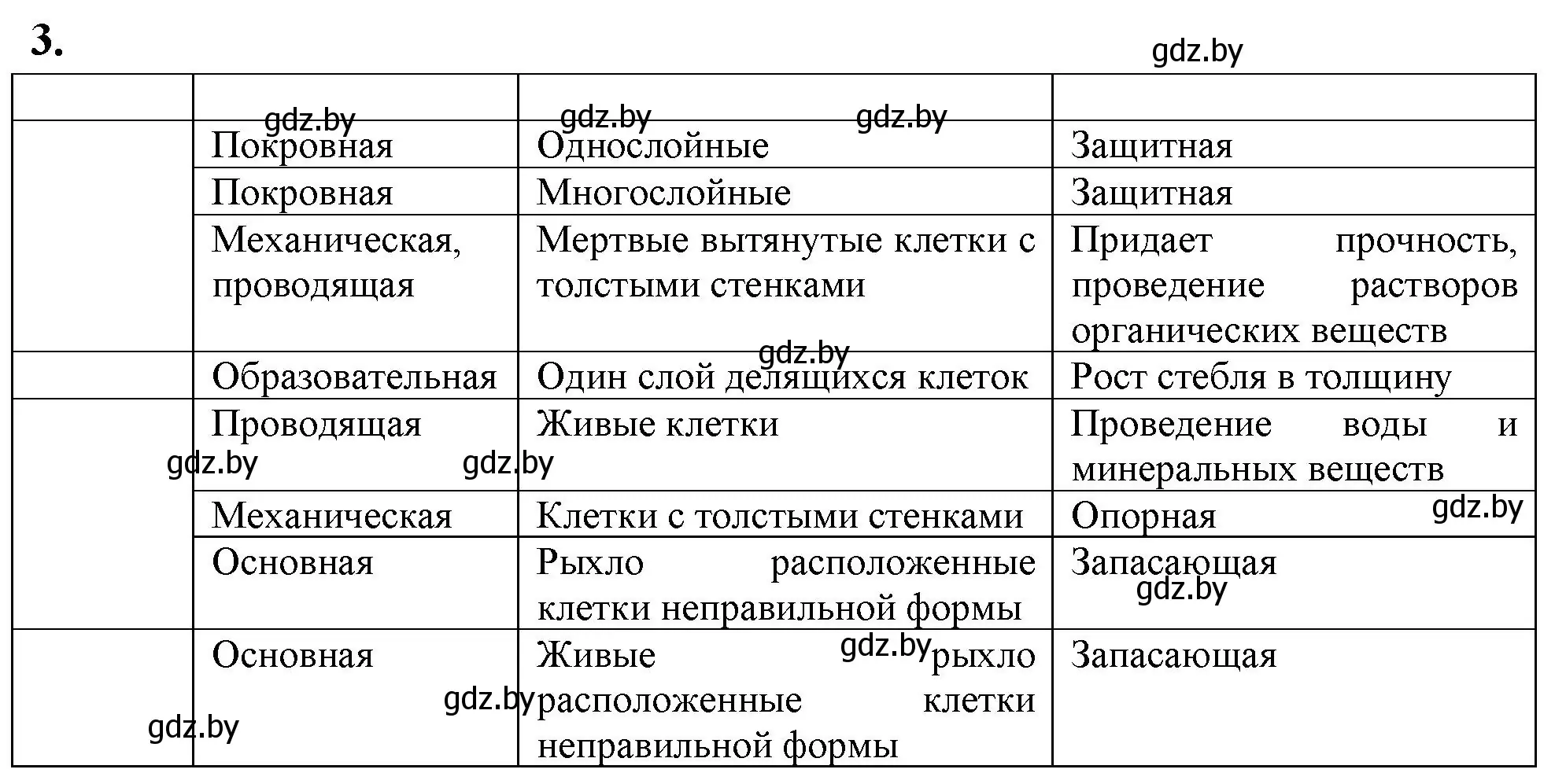 Решение номер 3 (страница 13) гдз по биологии 10 класс Хруцкая, тетрадь для лабораторных и практических работ