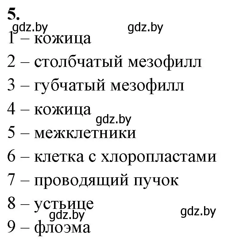 Решение номер 5 (страница 16) гдз по биологии 10 класс Хруцкая, тетрадь для лабораторных и практических работ