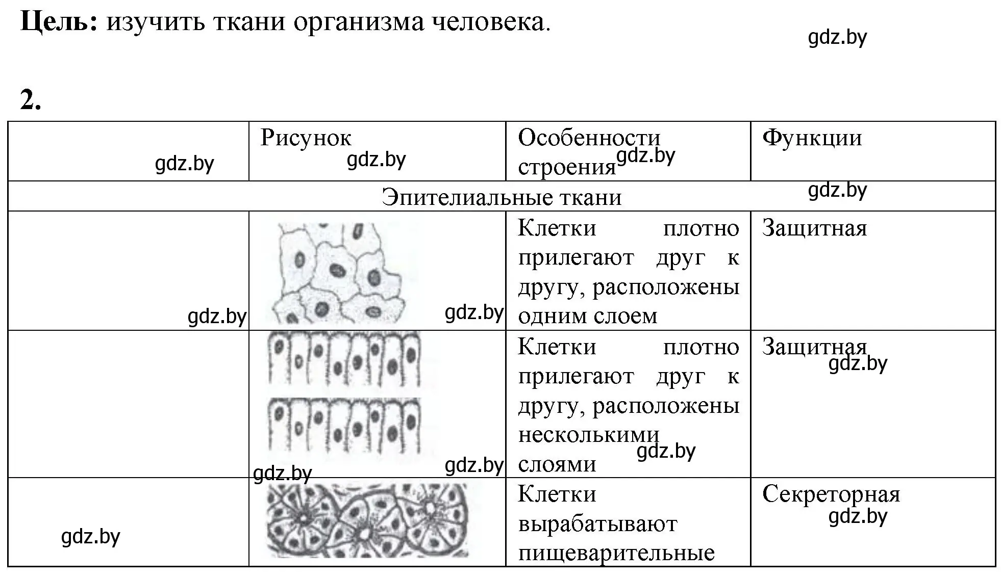 Решение номер 2 (страница 18) гдз по биологии 10 класс Хруцкая, тетрадь для лабораторных и практических работ