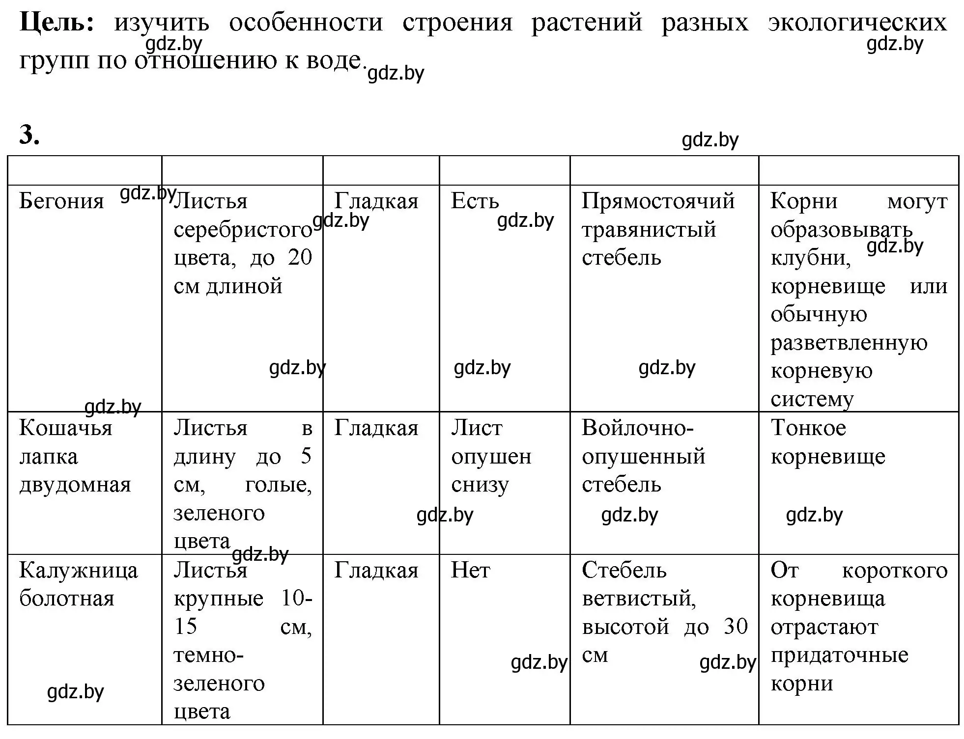 Решение номер 3 (страница 21) гдз по биологии 10 класс Хруцкая, тетрадь для лабораторных и практических работ