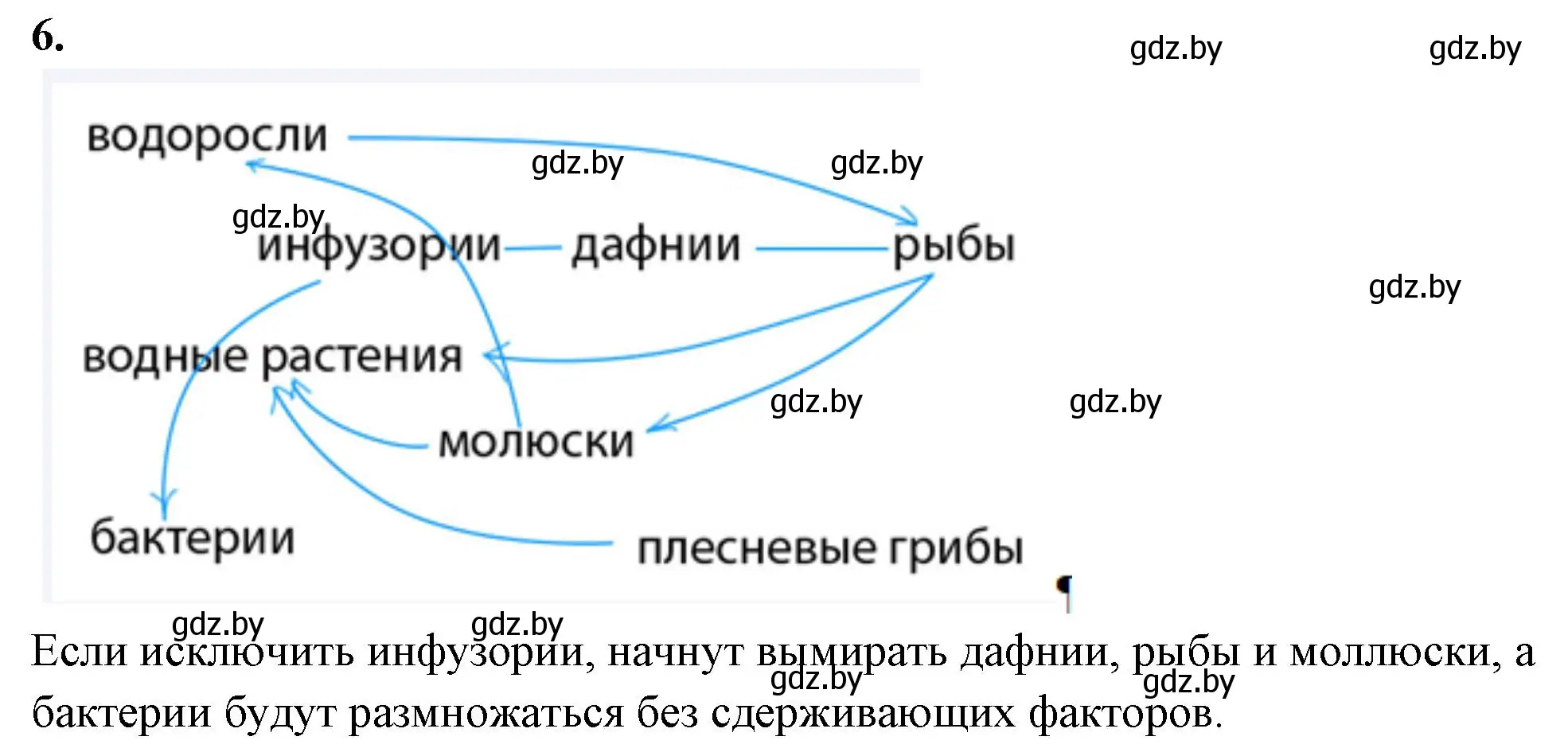 Решение номер 6 (страница 84) гдз по биологии 10 класс Хруцкая, тетрадь для лабораторных и практических работ