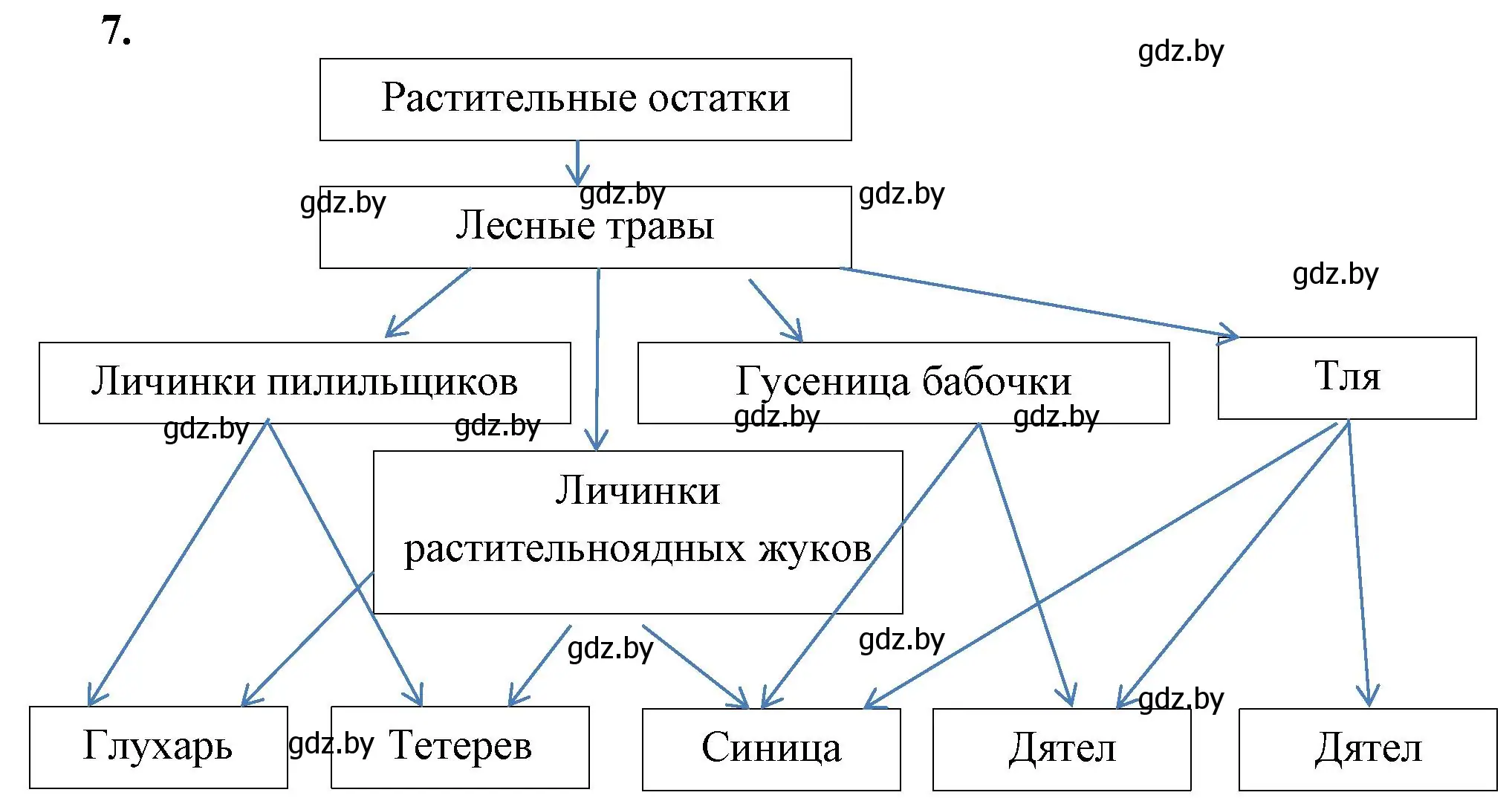 Решение номер 7 (страница 85) гдз по биологии 10 класс Хруцкая, тетрадь для лабораторных и практических работ