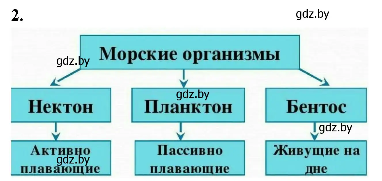 Решение номер 2 (страница 23) гдз по биологии 10 класс Хруцкая, рабочая тетрадь