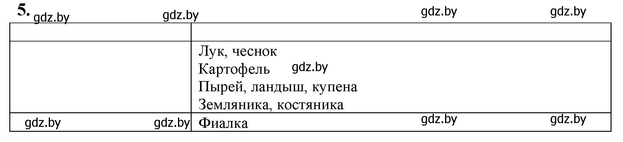 Решение номер 5 (страница 57) гдз по биологии 10 класс Хруцкая, рабочая тетрадь