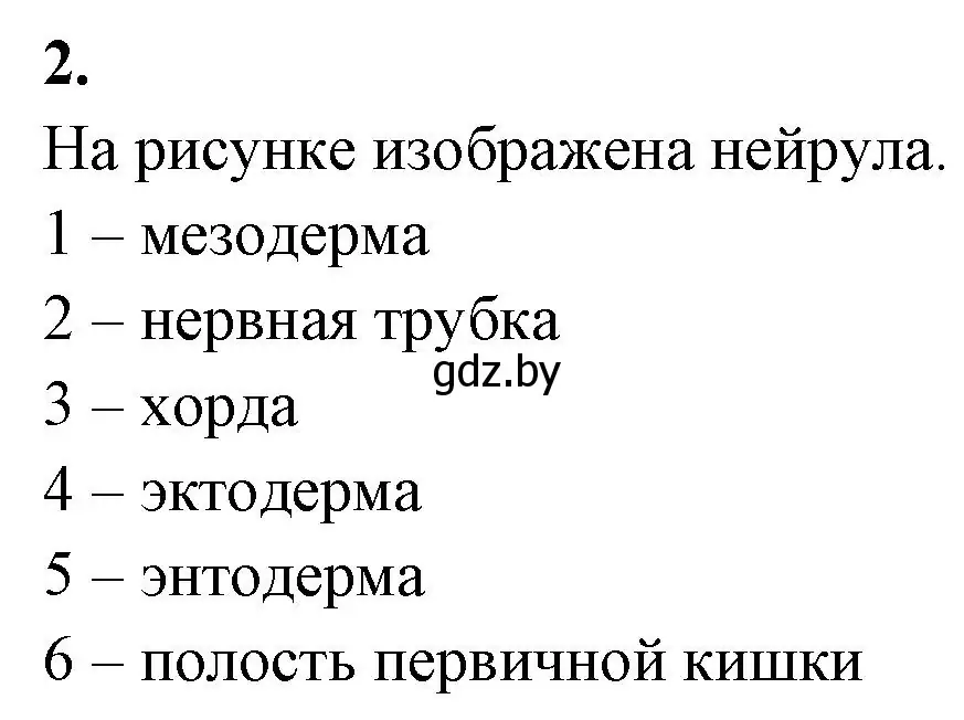 Решение номер 2 (страница 62) гдз по биологии 10 класс Хруцкая, рабочая тетрадь