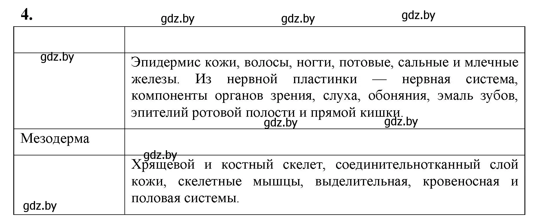 Решение номер 4 (страница 63) гдз по биологии 10 класс Хруцкая, рабочая тетрадь