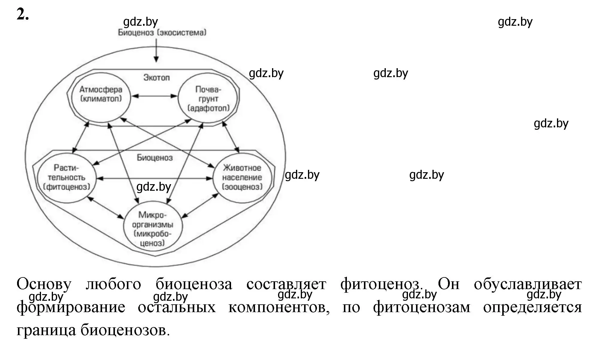 Решение номер 2 (страница 78) гдз по биологии 10 класс Хруцкая, рабочая тетрадь