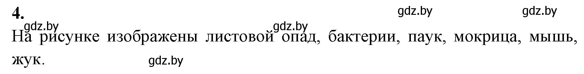 Решение номер 4 (страница 88) гдз по биологии 10 класс Хруцкая, рабочая тетрадь