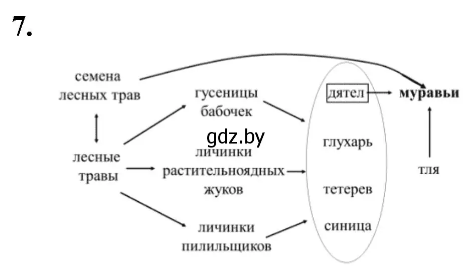 Решение номер 7 (страница 89) гдз по биологии 10 класс Хруцкая, рабочая тетрадь