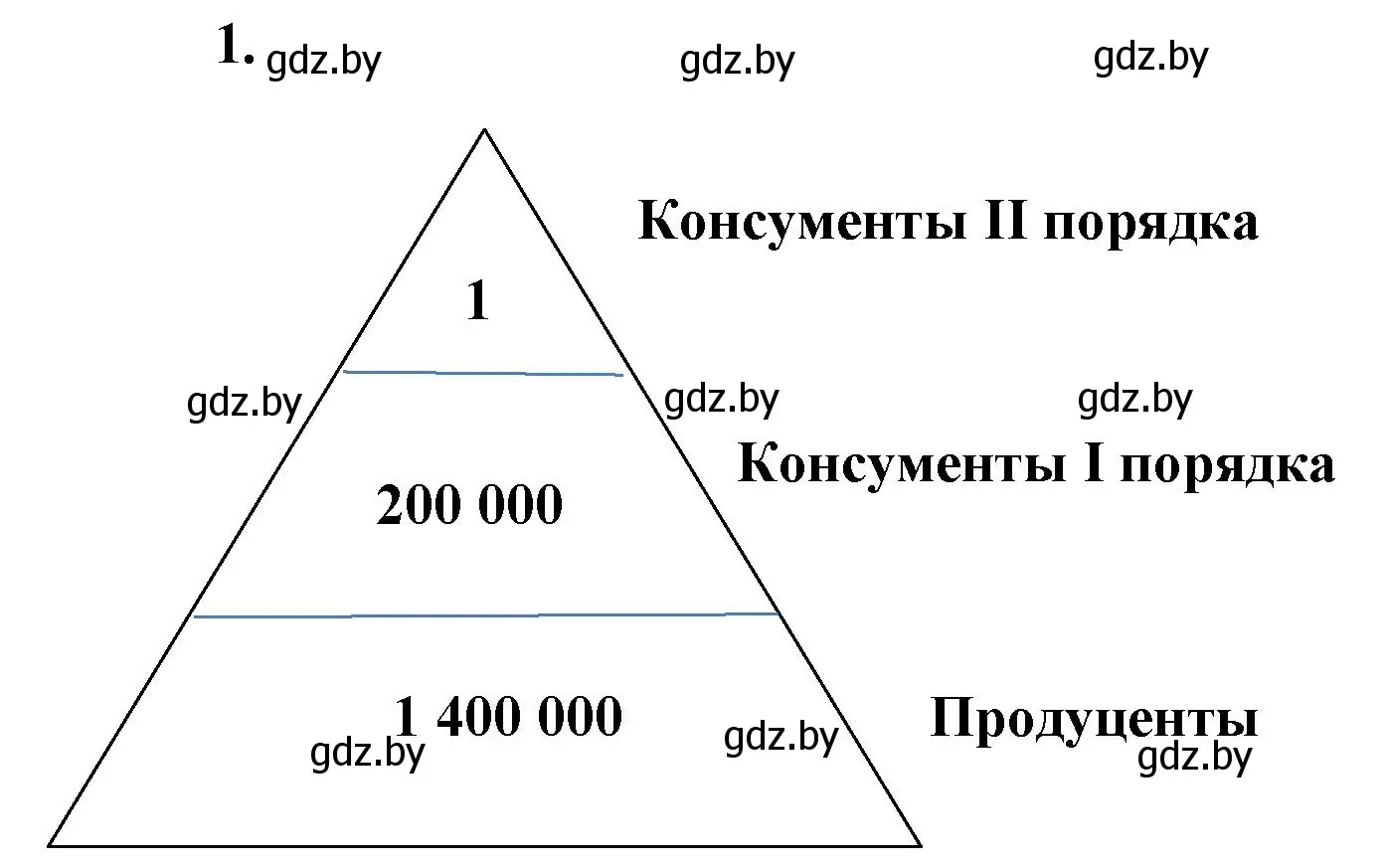 Решение номер 1 (страница 97) гдз по биологии 10 класс Хруцкая, рабочая тетрадь