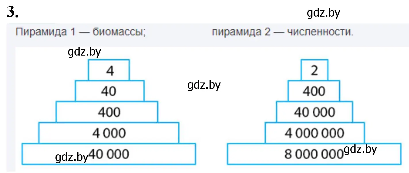 Решение номер 3 (страница 98) гдз по биологии 10 класс Хруцкая, рабочая тетрадь