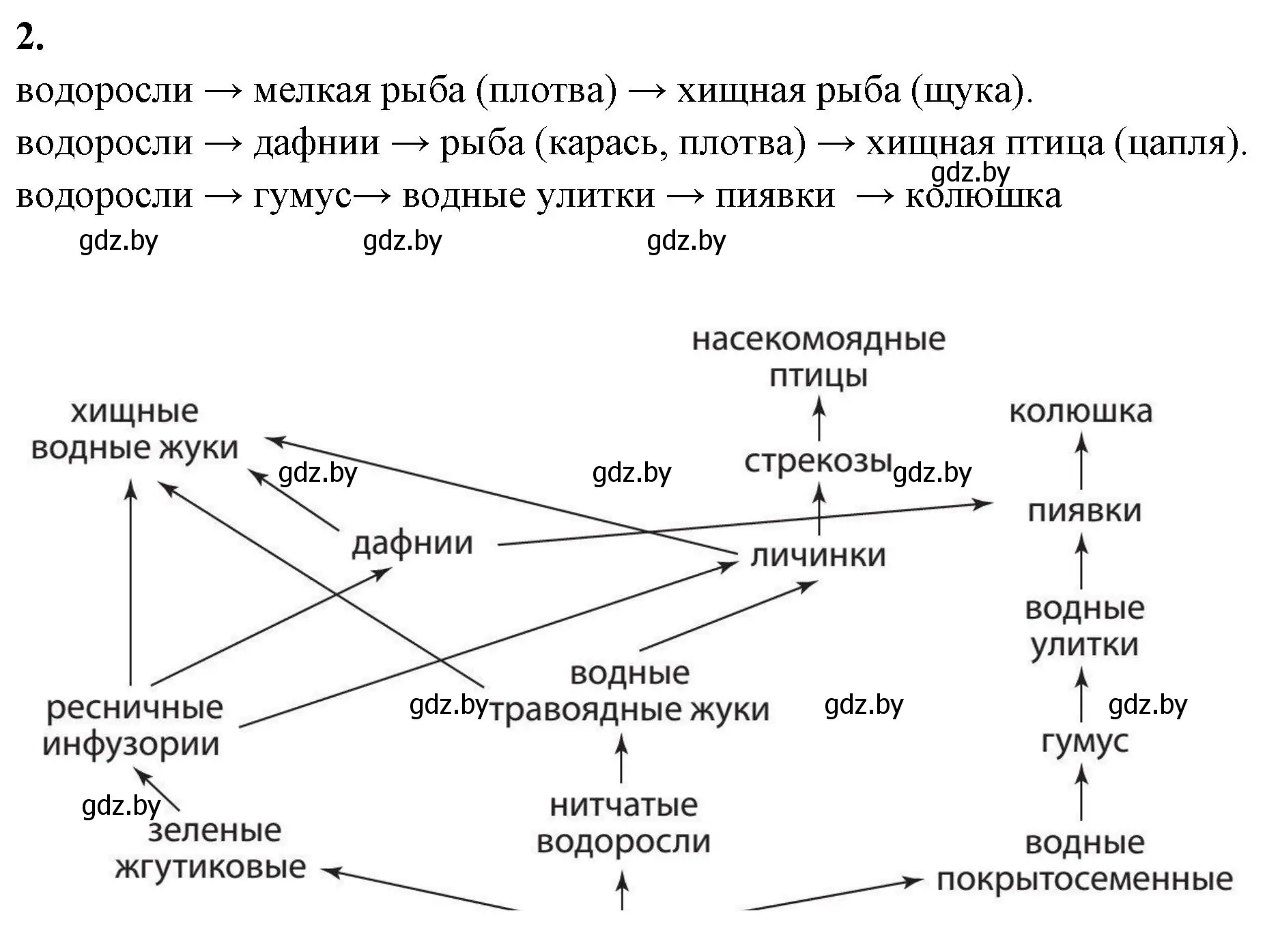 Решение номер 2 (страница 16) гдз по биологии 10 класс Маглыш, Кравченко, тетрадь для лабораторных и практических работ