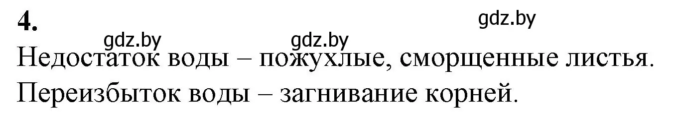 Решение номер 4 (страница 11) гдз по биологии 10 класс Маглыш, Кравченко, рабочая тетрадь