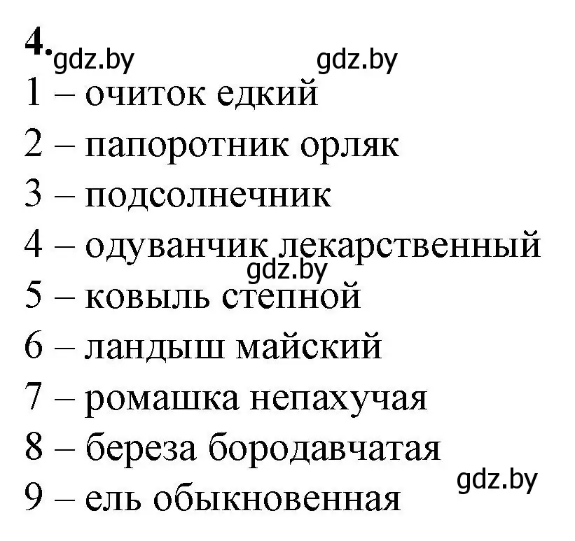 Решение номер 4 (страница 13) гдз по биологии 10 класс Маглыш, Кравченко, рабочая тетрадь
