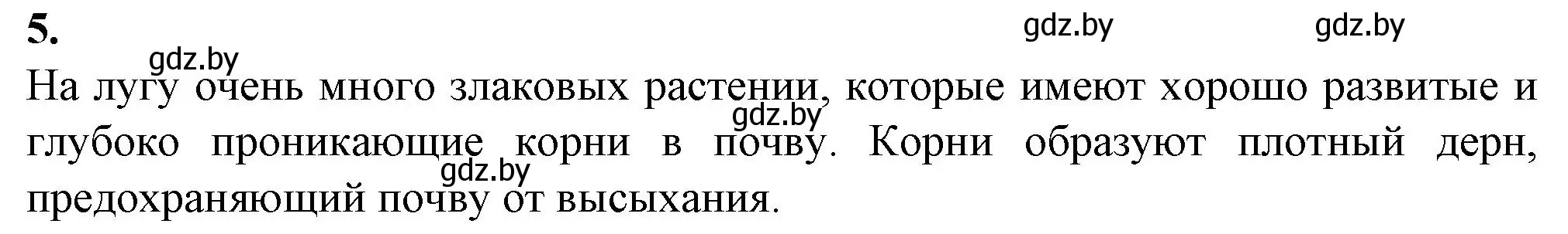 Решение номер 5 (страница 19) гдз по биологии 10 класс Маглыш, Кравченко, рабочая тетрадь