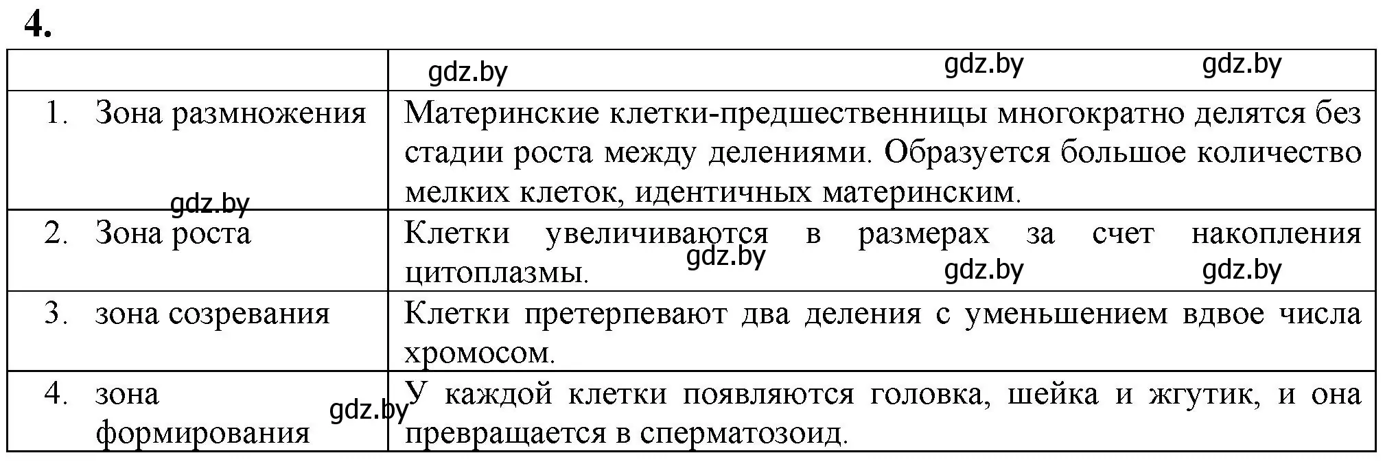 Решение номер 4 (страница 63) гдз по биологии 10 класс Маглыш, Кравченко, рабочая тетрадь