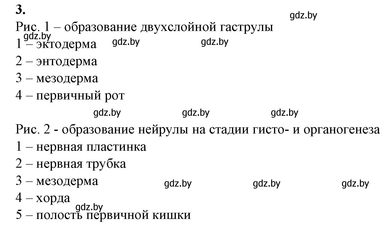 Решение номер 3 (страница 67) гдз по биологии 10 класс Маглыш, Кравченко, рабочая тетрадь