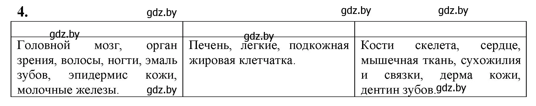 Решение номер 4 (страница 67) гдз по биологии 10 класс Маглыш, Кравченко, рабочая тетрадь