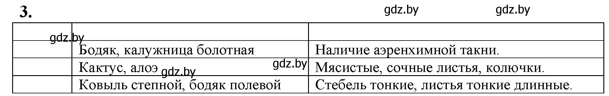 Решение номер 3 (страница 30) гдз по биологии 10 класс Маглыш, Кравченко, рабочая тетрадь