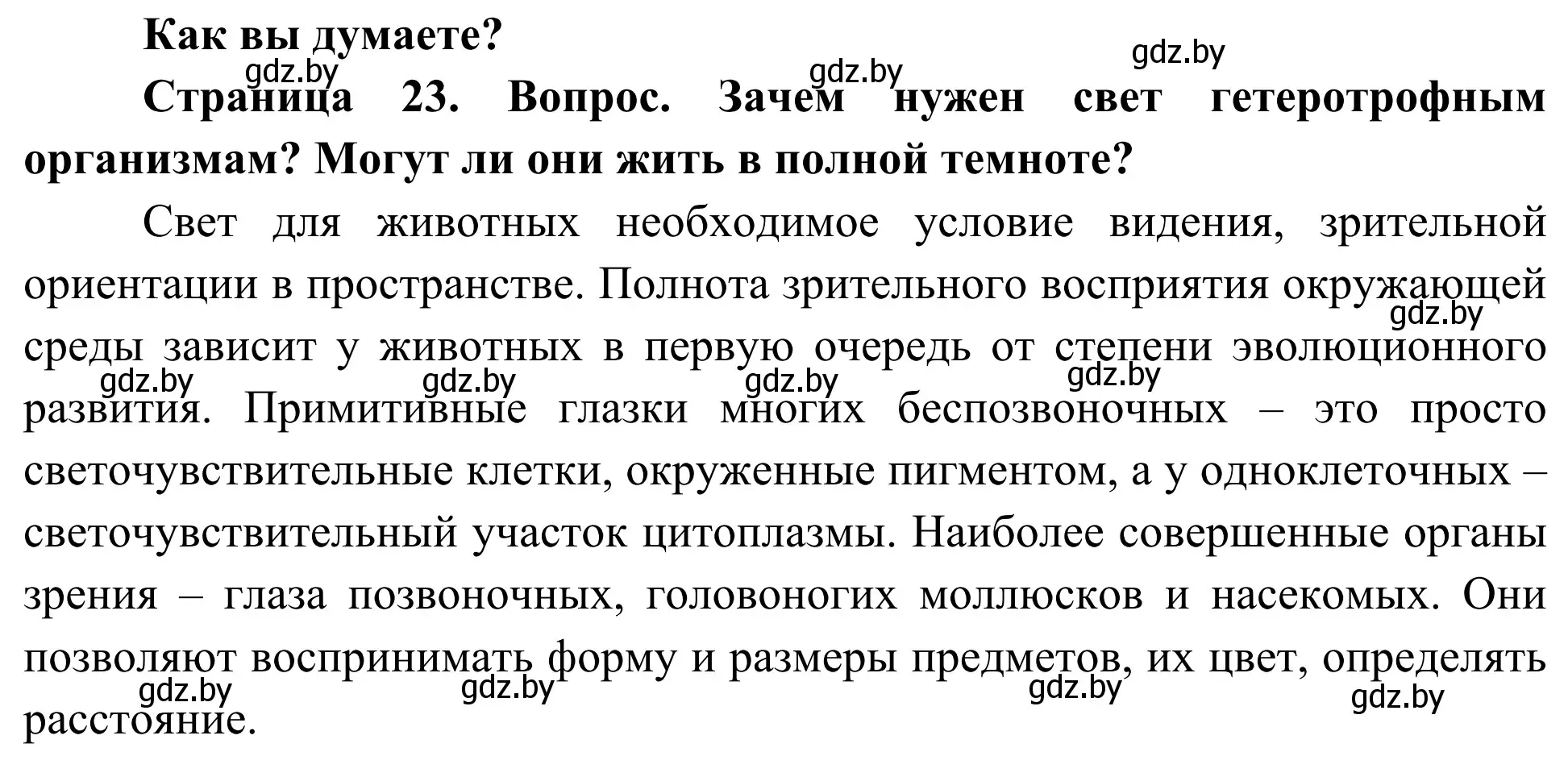 Решение  Как вы думаете? (страница 23) гдз по биологии 10 класс Маглыш, Кравченко, учебник