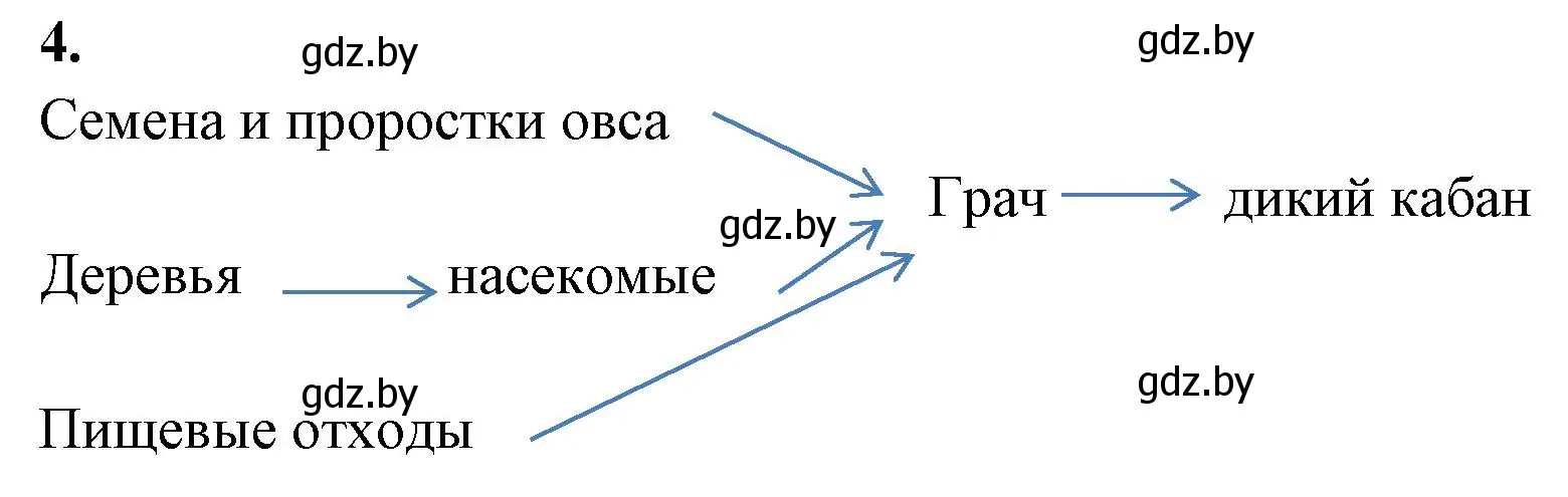 Решение номер 4 (страница 15) гдз по биологии 10 класс Новик, тетрадь для экскурсий, лабораторных и практических работ