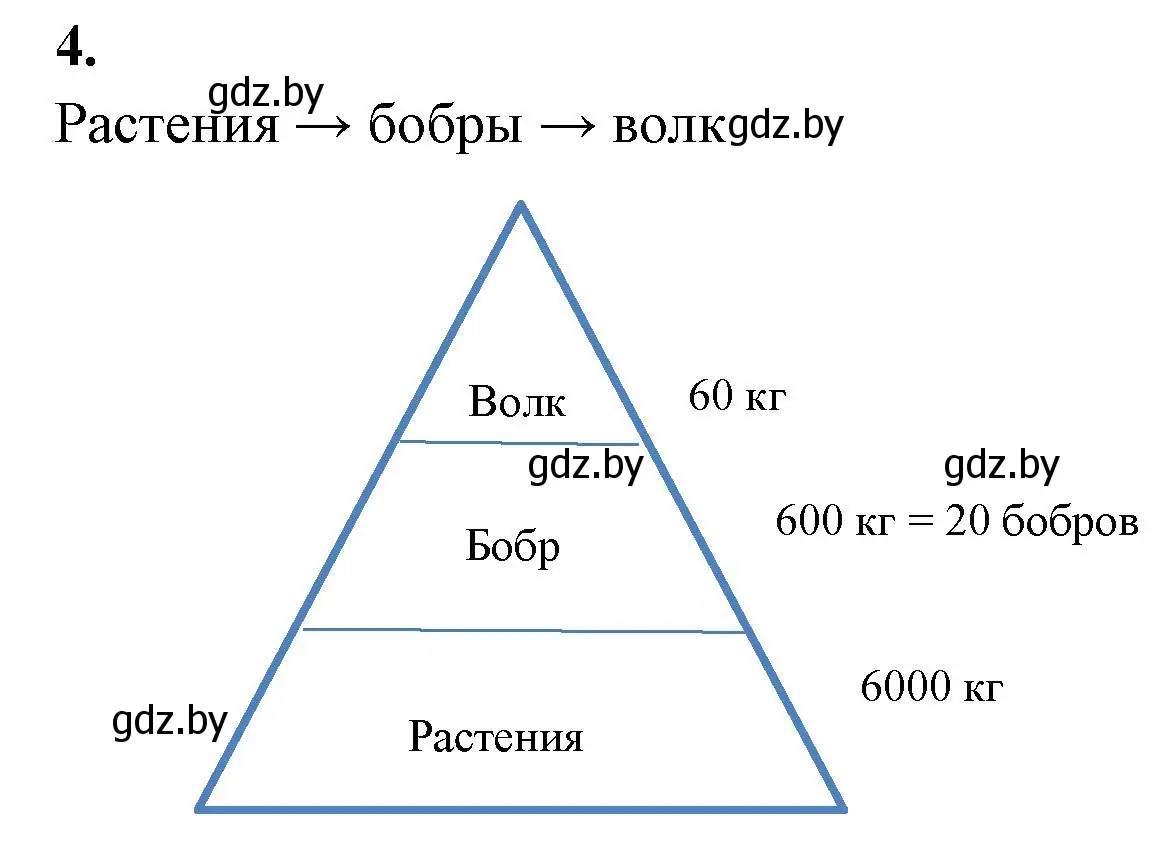 Решение номер 4 (страница 21) гдз по биологии 10 класс Новик, тетрадь для экскурсий, лабораторных и практических работ