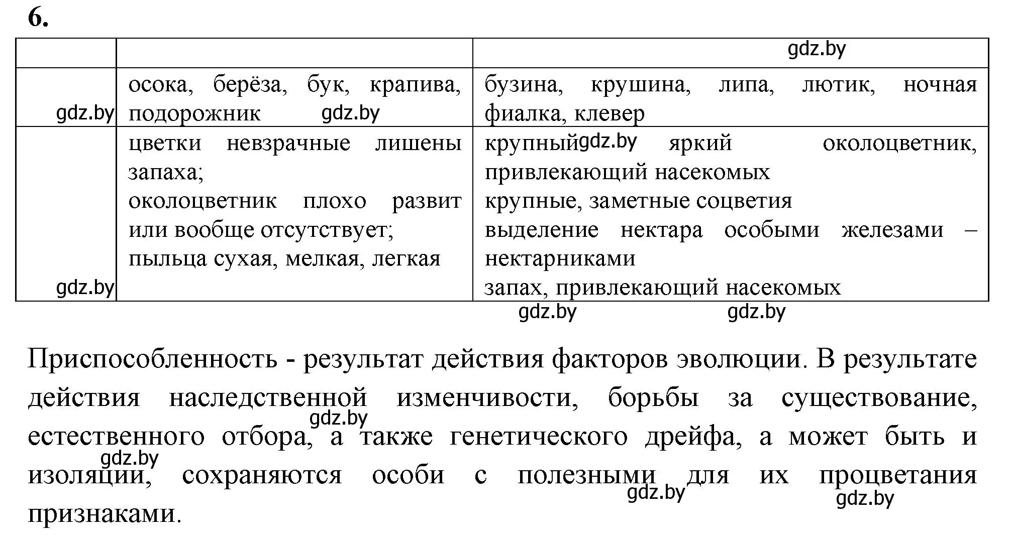 Решение номер 6 (страница 37) гдз по биологии 11 класс Дашков, Головач, тетрадь для лабораторных и практических работ