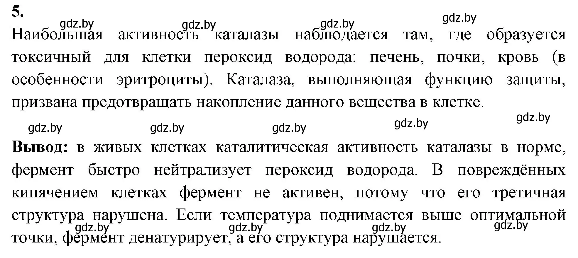 Решение номер 5 (страница 6) гдз по биологии 11 класс Дашков, Головач, тетрадь для лабораторных и практических работ