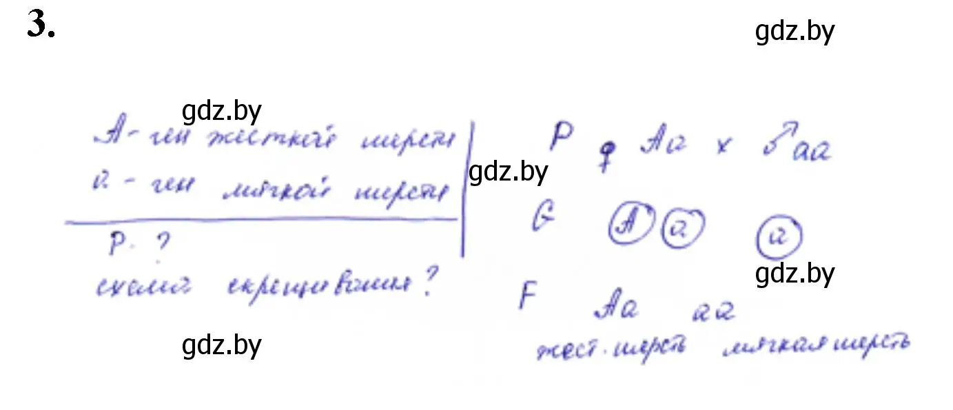 Решение номер 3 (страница 22) гдз по биологии 11 класс Дашков, Головач, тетрадь для лабораторных и практических работ