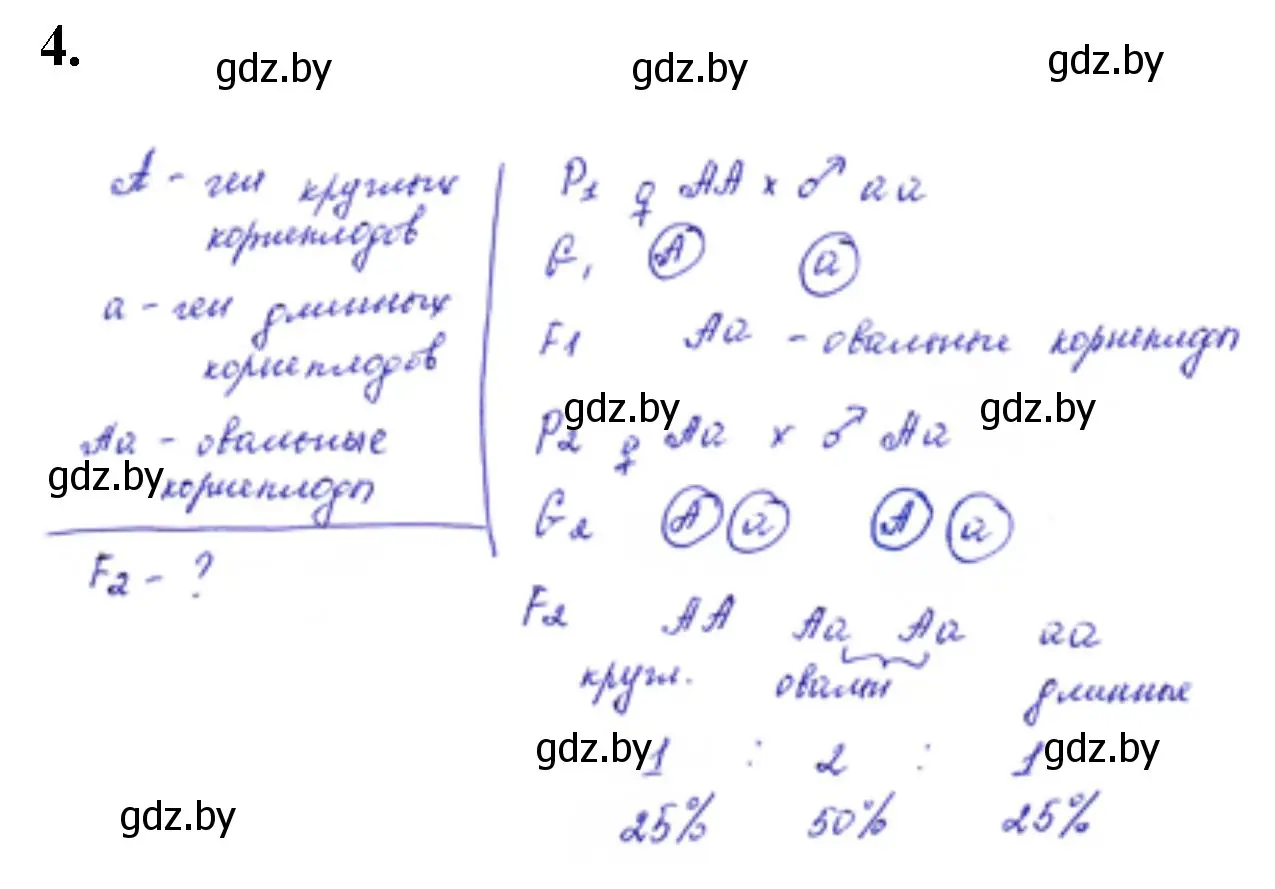Решение номер 4 (страница 22) гдз по биологии 11 класс Дашков, Головач, тетрадь для лабораторных и практических работ
