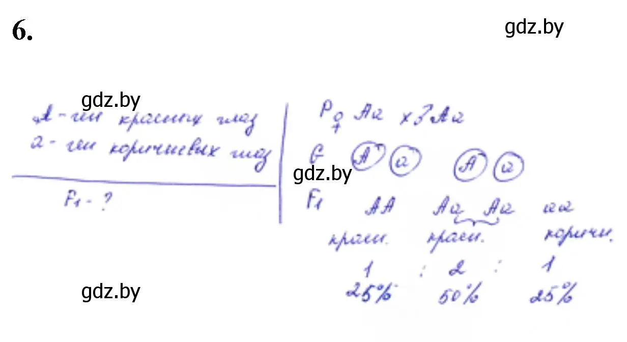 Решение номер 6 (страница 24) гдз по биологии 11 класс Дашков, Головач, тетрадь для лабораторных и практических работ