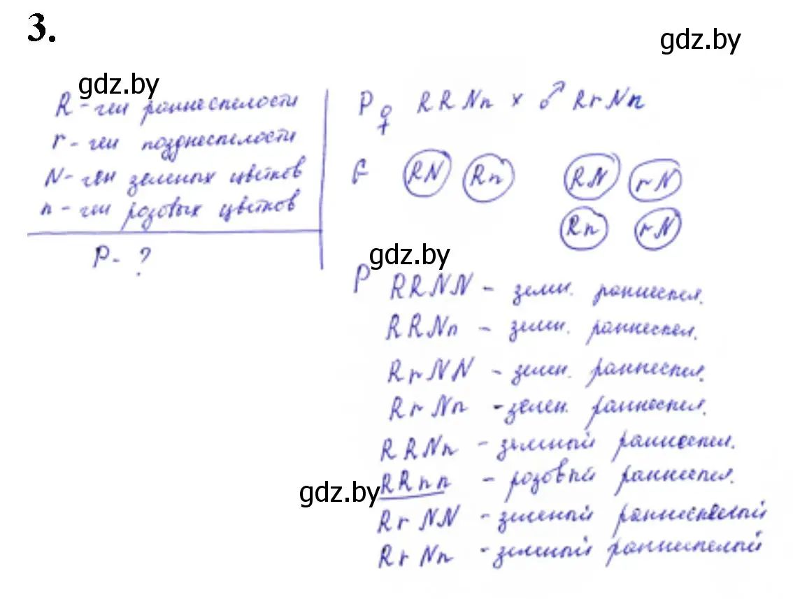 Решение номер 3 (страница 25) гдз по биологии 11 класс Дашков, Головач, тетрадь для лабораторных и практических работ