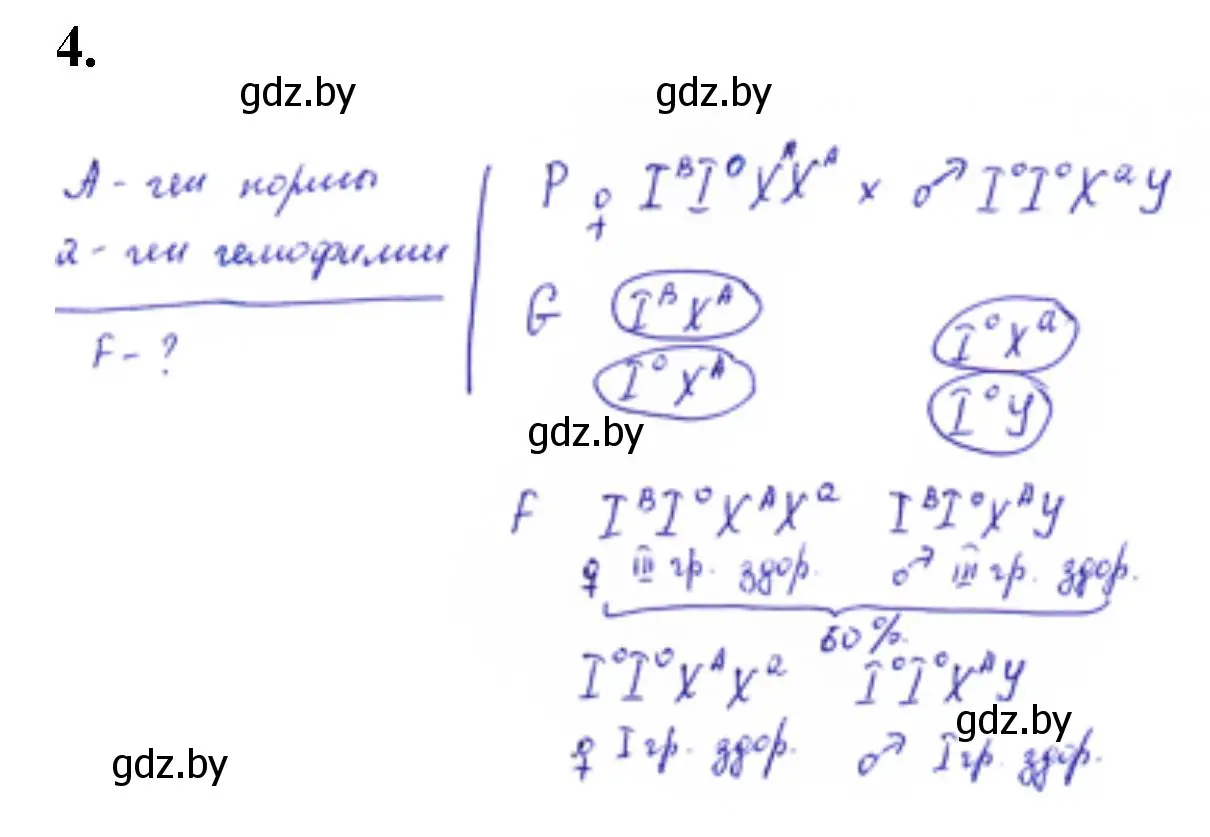 Решение номер 4 (страница 28) гдз по биологии 11 класс Дашков, Головач, тетрадь для лабораторных и практических работ