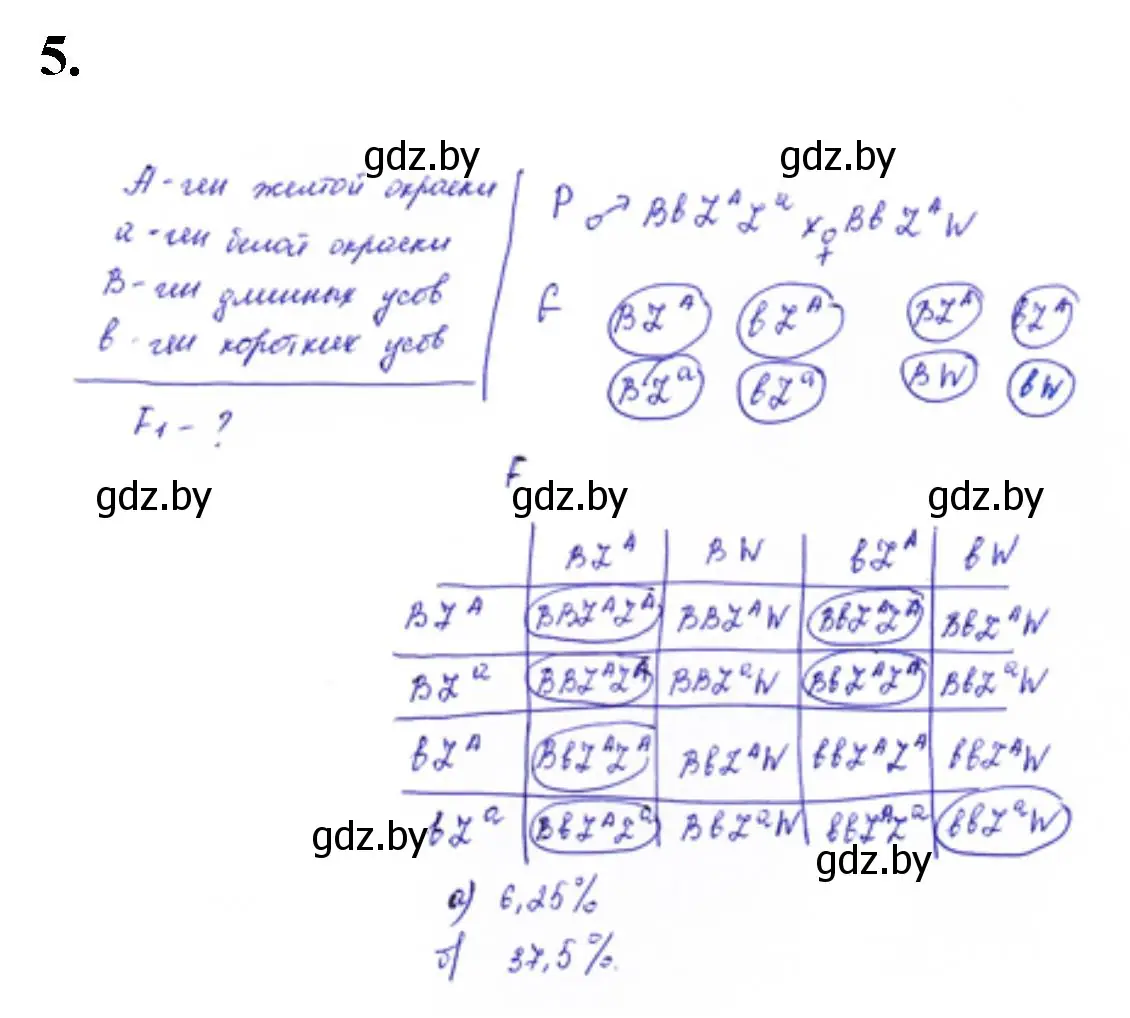 Решение номер 5 (страница 29) гдз по биологии 11 класс Дашков, Головач, тетрадь для лабораторных и практических работ