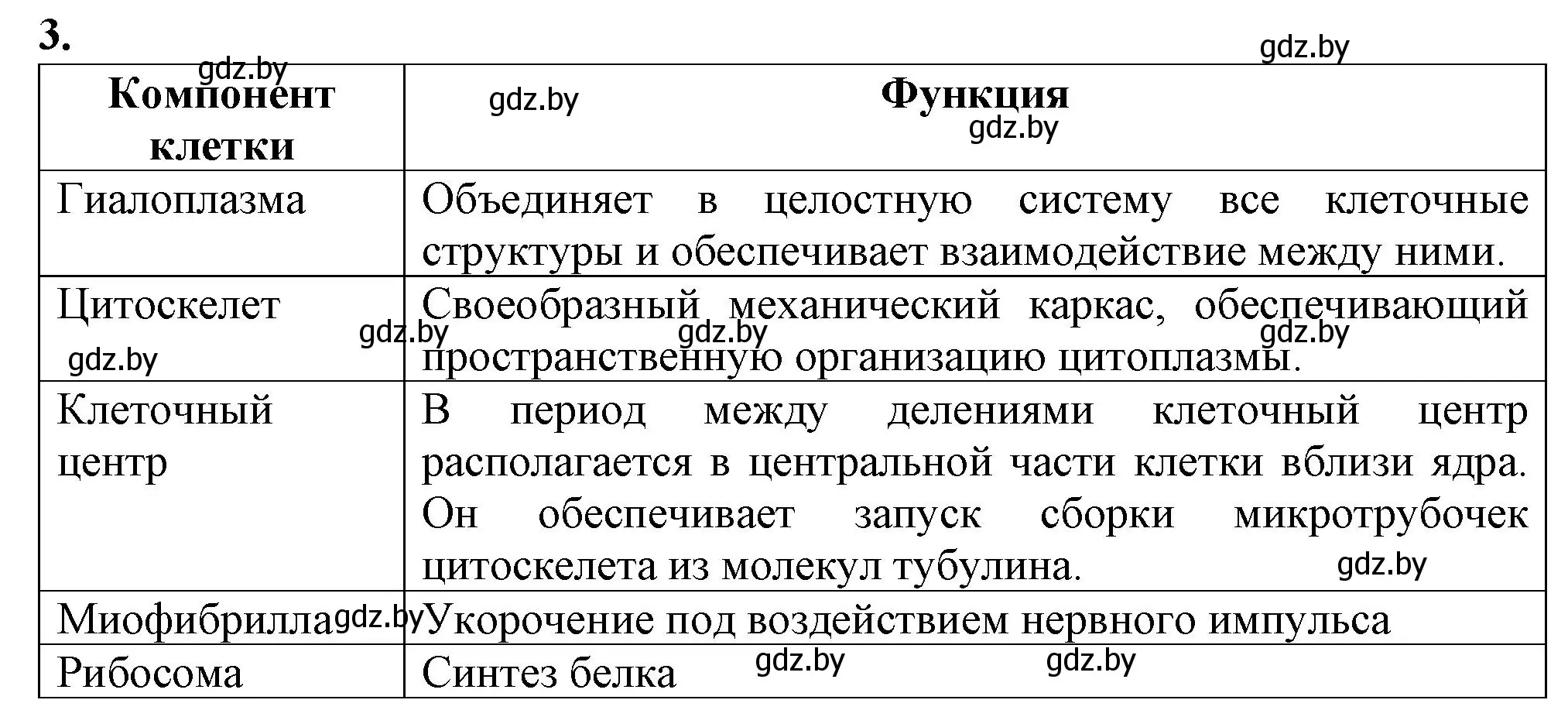 Решение номер 3 (страница 28) гдз по биологии 11 класс Дашков, Головач, рабочая тетрадь