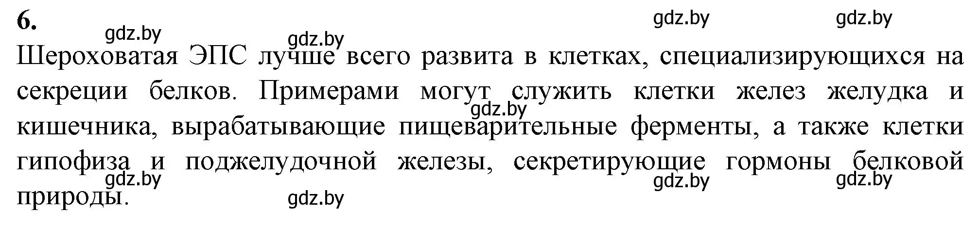 Решение номер 6 (страница 31) гдз по биологии 11 класс Дашков, Головач, рабочая тетрадь