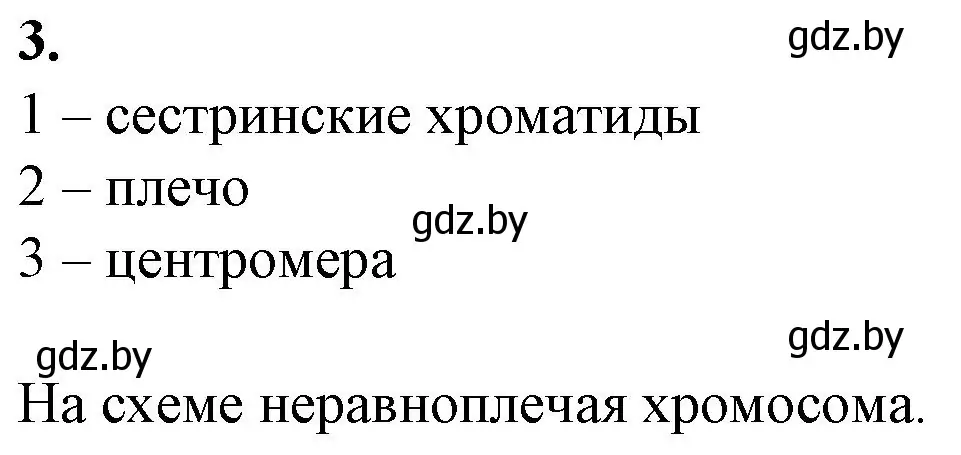 Решение номер 3 (страница 33) гдз по биологии 11 класс Дашков, Головач, рабочая тетрадь